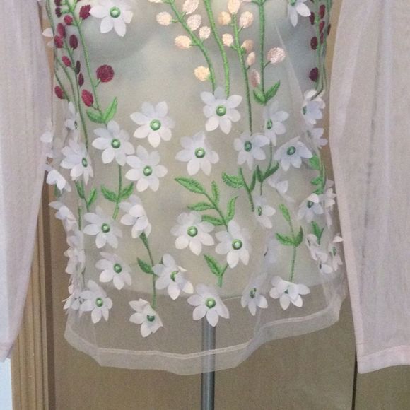 Zara blush sheer tulle mesh floral embroidered top - Picture 9 of 14